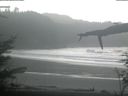 ./images/calvert/beach/20220210/beach20220210_112503.jpg