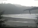 ./images/calvert/beach/20220210/beach20220210_114502.jpg