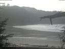 ./images/calvert/beach/20220210/beach20220210_122003.jpg