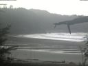 ./images/calvert/beach/20220210/beach20220210_123503.jpg