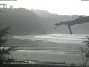 ./images/calvert/beach/20220210/beach20220210_125001.jpg