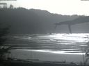 ./images/calvert/beach/20220210/beach20220210_141003.jpg