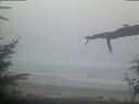 ./images/calvert/beach/20220211/beach20220211_075502.jpg
