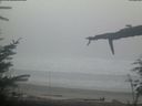 ./images/calvert/beach/20220211/beach20220211_080502.jpg