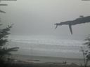 ./images/calvert/beach/20220211/beach20220211_081501.jpg