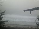 ./images/calvert/beach/20220211/beach20220211_085503.jpg