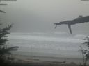 ./images/calvert/beach/20220211/beach20220211_092502.jpg