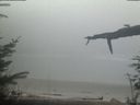 ./images/calvert/beach/20220211/beach20220211_165502.jpg