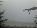 ./images/calvert/beach/20220211/beach20220211_170502.jpg