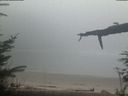 ./images/calvert/beach/20220211/beach20220211_172502.jpg