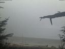 ./images/calvert/beach/20220211/beach20220211_174002.jpg