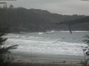 ./images/calvert/beach/20220215/beach20220215_125003.jpg