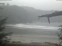 ./images/calvert/beach/20220218/beach20220218_102502.jpg