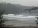 ./images/calvert/beach/20220218/beach20220218_112002.jpg