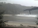 ./images/calvert/beach/20220220/beach20220220_105001.jpg