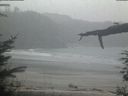 ./images/calvert/beach/20220223/beach20220223_165502.jpg