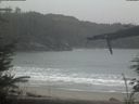 ./images/calvert/beach/20220302/beach20220302_105502.jpg