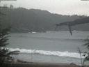 ./images/calvert/beach/20220302/beach20220302_124002.jpg