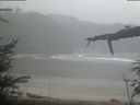 ./images/calvert/beach/20220303/beach20220303_085001.jpg