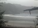 ./images/calvert/beach/20220303/beach20220303_101001.jpg