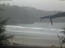 ./images/calvert/beach/20220303/beach20220303_105003.jpg