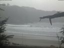 ./images/calvert/beach/20220303/beach20220303_110503.jpg