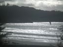 ./images/calvert/beach/20220304/beach20220304_134001.jpg