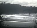 ./images/calvert/beach/20220306/beach20220306_133501.jpg