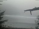 ./images/calvert/beach/20220306/beach20220306_174502.jpg