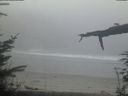 ./images/calvert/beach/20220306/beach20220306_175001.jpg