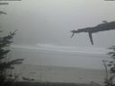 ./images/calvert/beach/20220306/beach20220306_175502.jpg