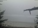 ./images/calvert/beach/20220306/beach20220306_180002.jpg