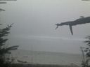 ./images/calvert/beach/20220306/beach20220306_181001.jpg