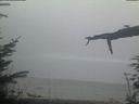 ./images/calvert/beach/20220306/beach20220306_182002.jpg