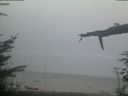 ./images/calvert/beach/20220306/beach20220306_182501.jpg
