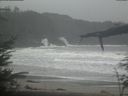 ./images/calvert/beach/20220315/beach20220315_102002.jpg