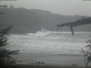 ./images/calvert/beach/20220315/beach20220315_120503.jpg