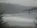 ./images/calvert/beach/20220315/beach20220315_121502.jpg