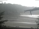 ./images/calvert/beach/20220315/beach20220315_172002.jpg