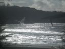 ./images/calvert/beach/20220319/beach20220319_141502.jpg
