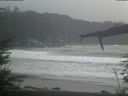 ./images/calvert/beach/20220320/beach20220320_164501.jpg