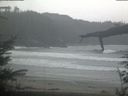 ./images/calvert/beach/20220326/beach20220326_085002.jpg