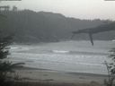 ./images/calvert/beach/20220326/beach20220326_091003.jpg