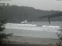 ./images/calvert/beach/20220326/beach20220326_094003.jpg