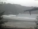 ./images/calvert/beach/20220326/beach20220326_111003.jpg