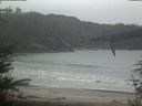 ./images/calvert/beach/20220327/beach20220327_094502.jpg