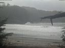 ./images/calvert/beach/20220331/beach20220331_112003.jpg