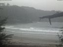 ./images/calvert/beach/20220401/beach20220401_121002.jpg