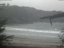 ./images/calvert/beach/20220401/beach20220401_122001.jpg