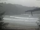 ./images/calvert/beach/20220401/beach20220401_122501.jpg